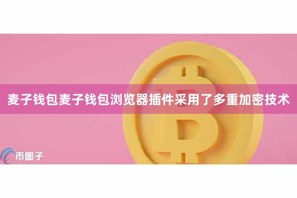 麦子钱包麦子钱包浏览器插件采用了多重加密技术