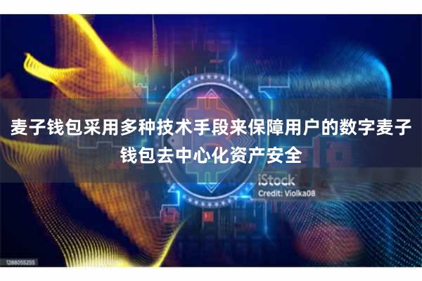麦子钱包采用多种技术手段来保障用户的数字麦子钱包去中心化资产安全