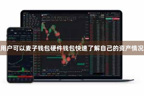 用户可以麦子钱包硬件钱包快速了解自己的资产情况