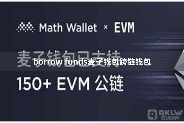 borrow funds麦子钱包跨链钱包