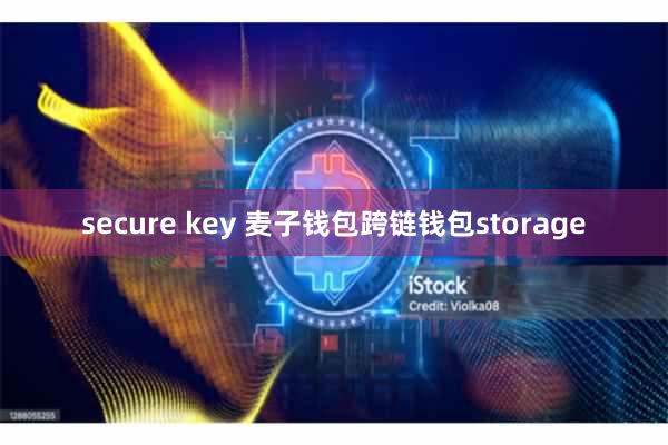 secure key 麦子钱包跨链钱包storage