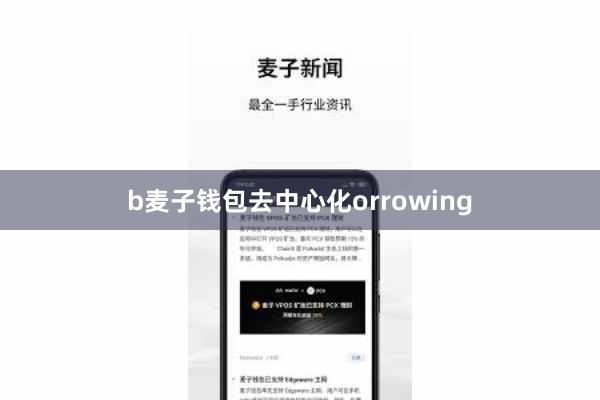 b麦子钱包去中心化orrowing