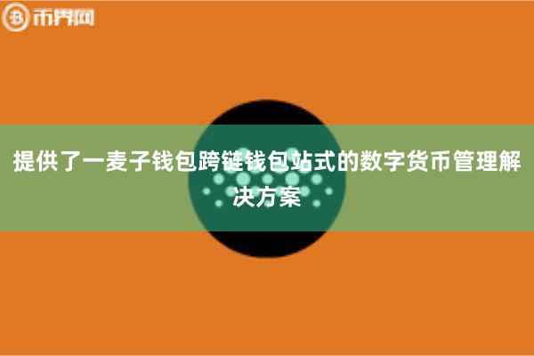 提供了一麦子钱包跨链钱包站式的数字货币管理解决方案