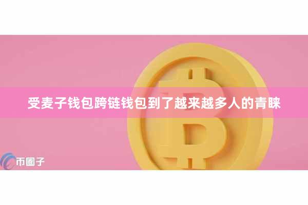 受麦子钱包跨链钱包到了越来越多人的青睐