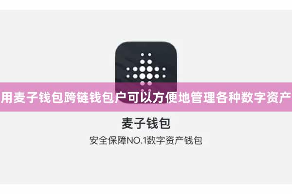 用麦子钱包跨链钱包户可以方便地管理各种数字资产